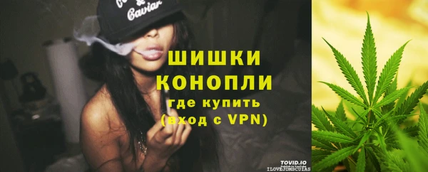 твердый Краснослободск