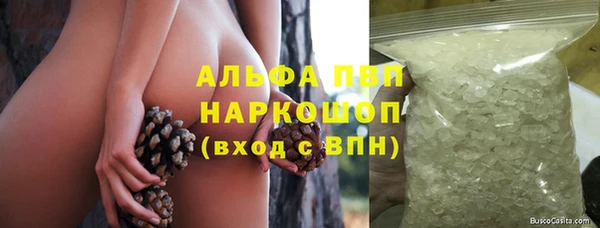 СК Костерёво