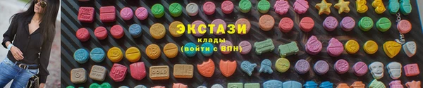 твердый Краснослободск