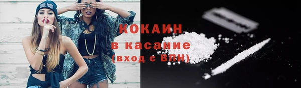 твердый Краснослободск