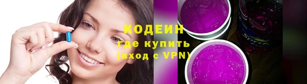 твердый Краснослободск